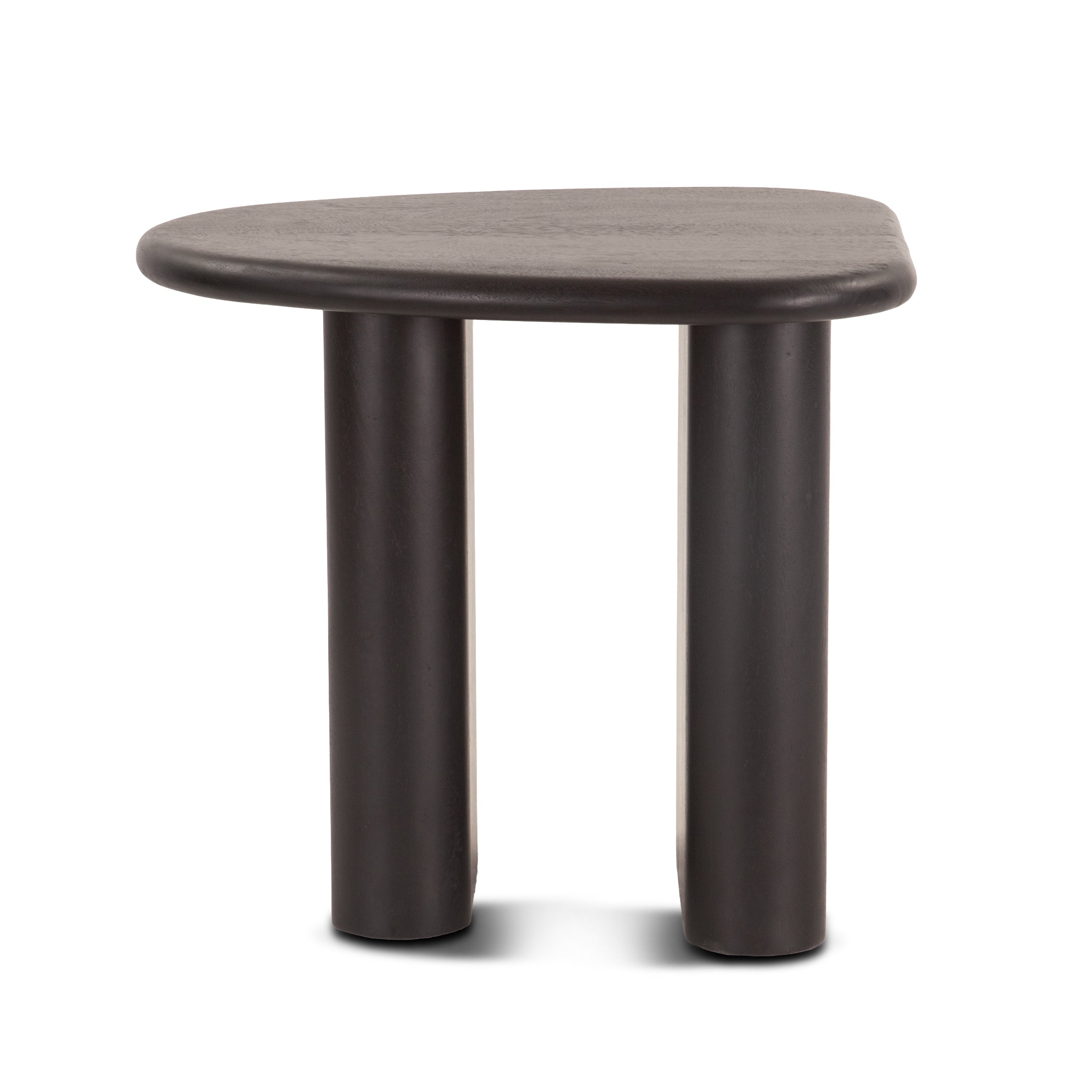 26" Matte Black Mango Wood Side Table