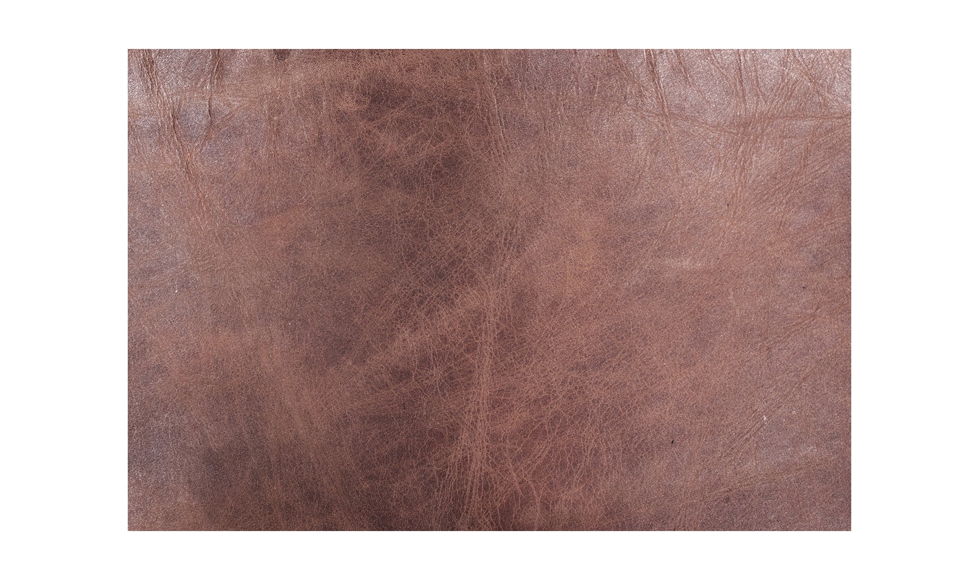 BENEDICT DINING CHAIR- SET OF TWO