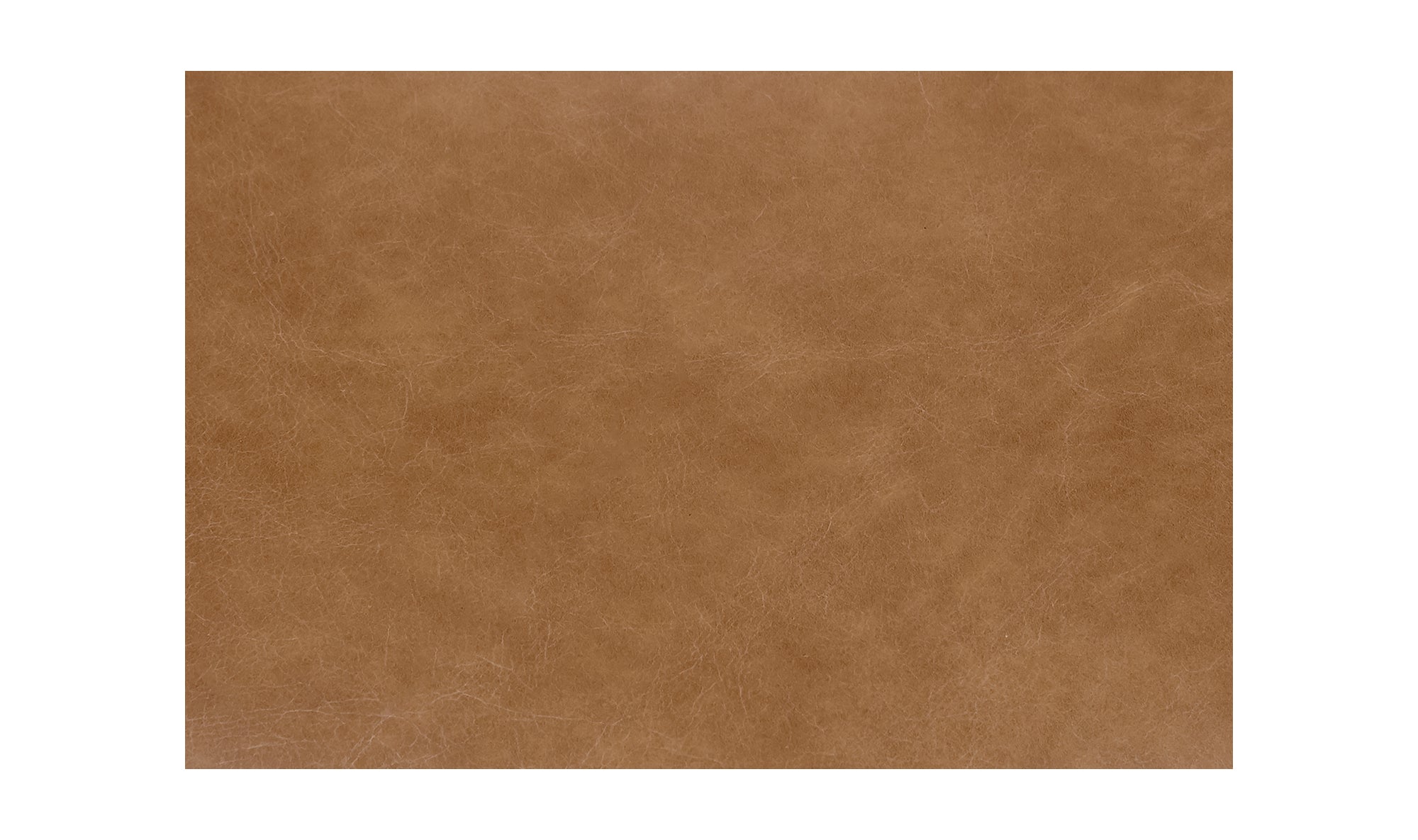 NAPOLI DINING CHAIR- SET OF TWO