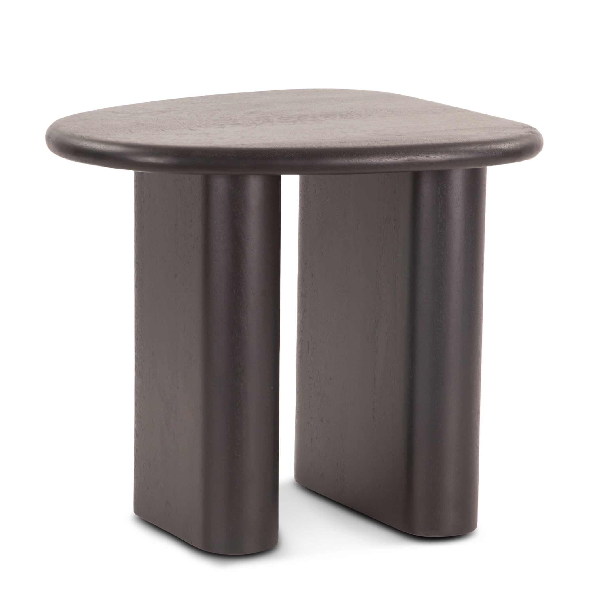 26" Matte Black Mango Wood Side Table