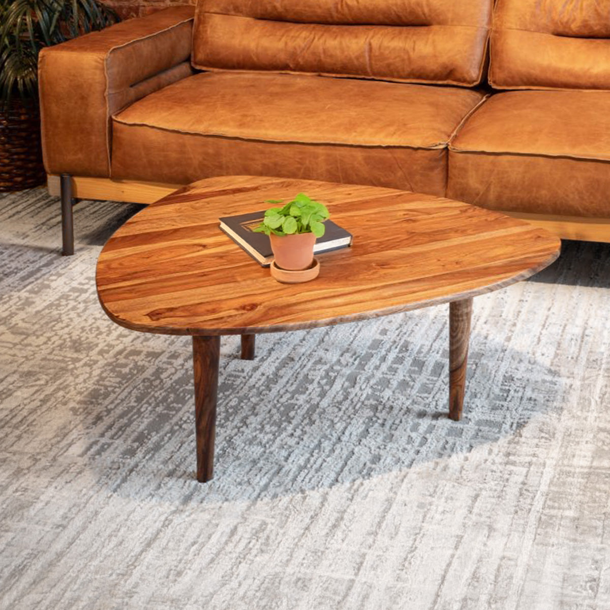 37" Natural Sheesham Wood Coffee Table