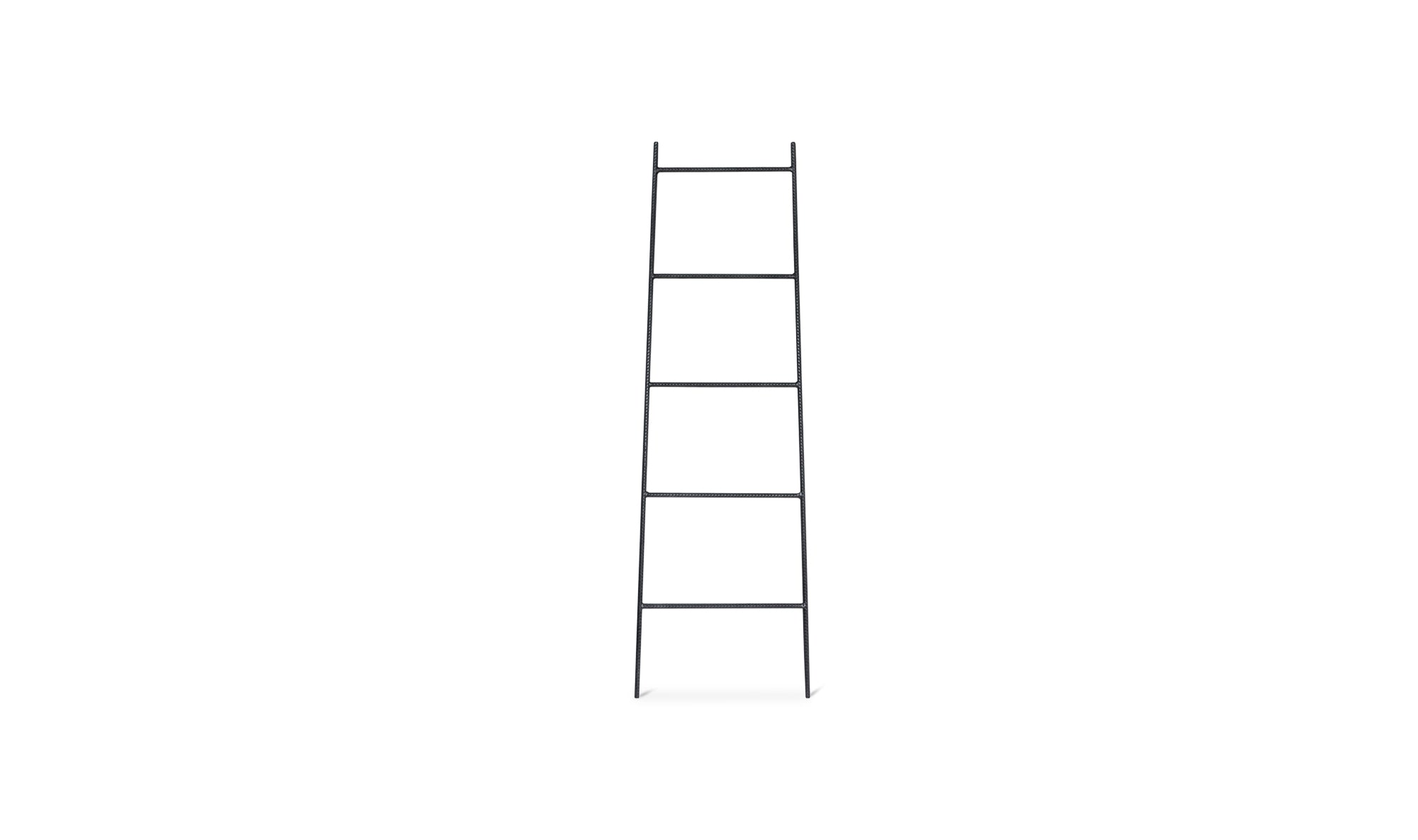 IRON LADDER