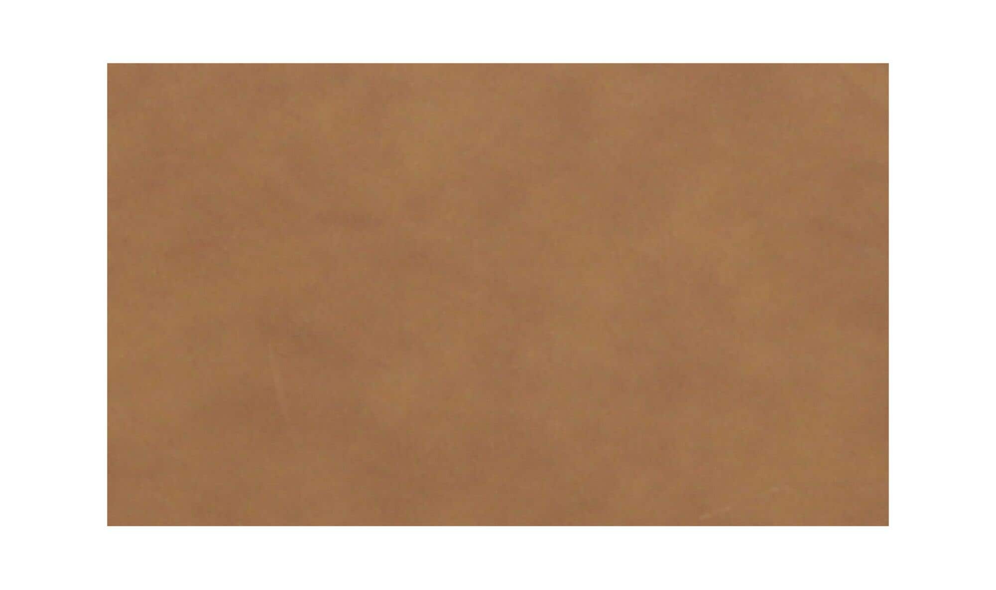40.5" Sonoran Tan Leather Corner Chair